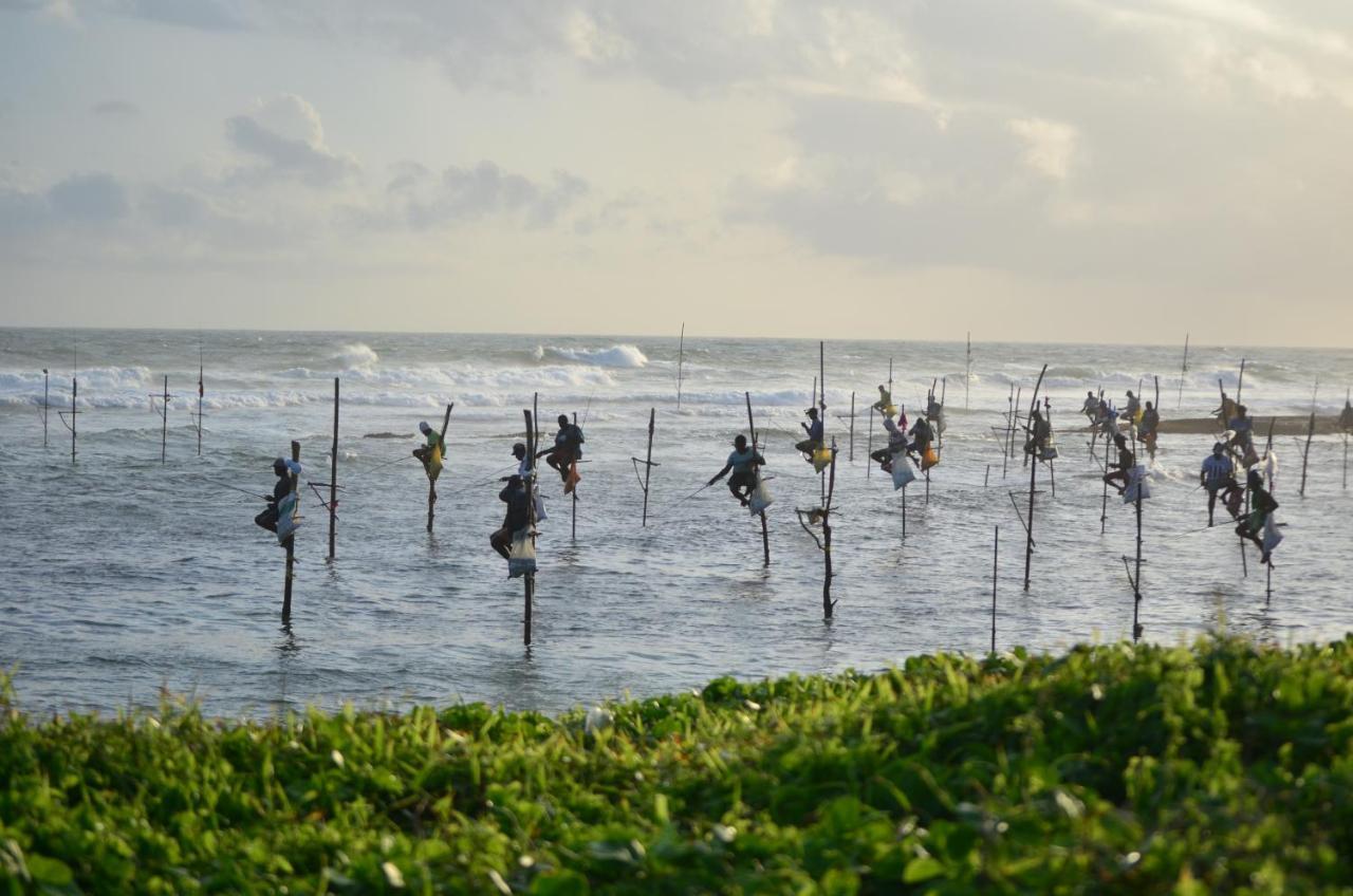 מטרה Ashford Beach מראה חיצוני תמונה